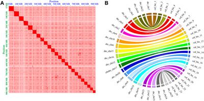 Chromosome-scale assembly and quantitative trait locus mapping for major economic traits of the Culter alburnus genome using Illumina and PacBio sequencing with Hi-C mapping information